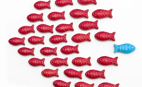 fish-individual