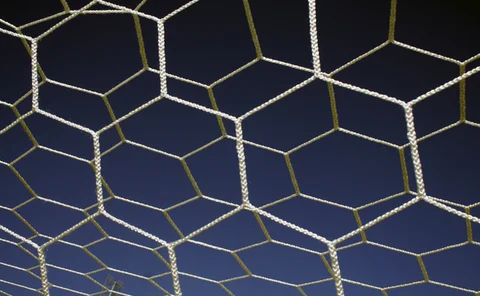 Caught in the regulatory net