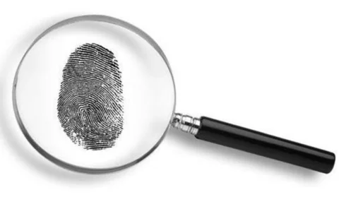 magnifying-glass