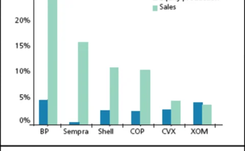 pg51-barchart-gif