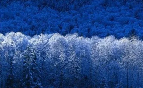 winter