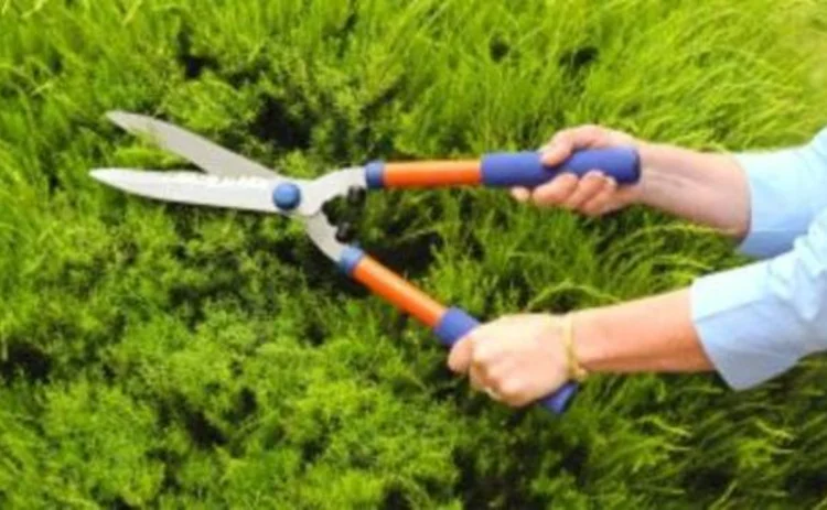 hedgetrimmers