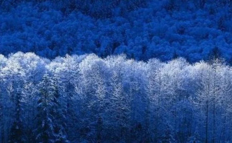 winter