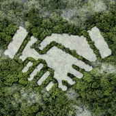 Renewables contracts